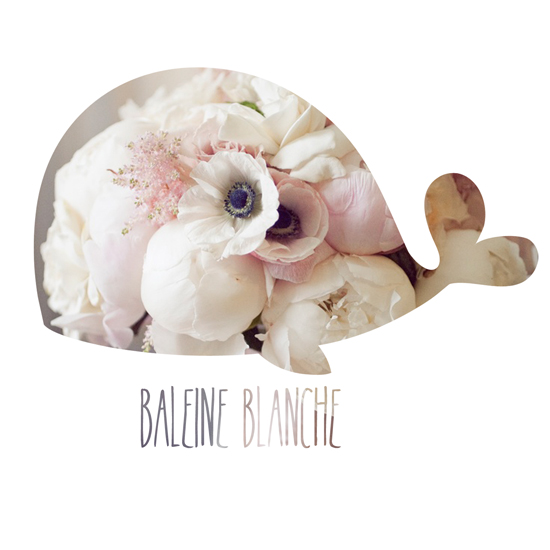 baleinebalnche